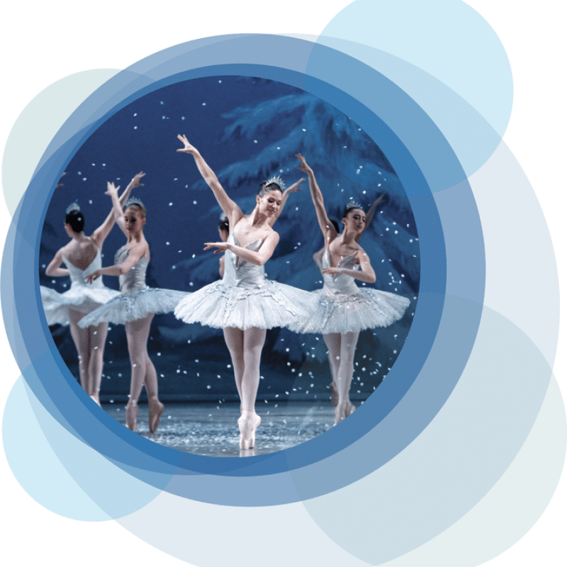 SPOTLIGHT: Nutcracker