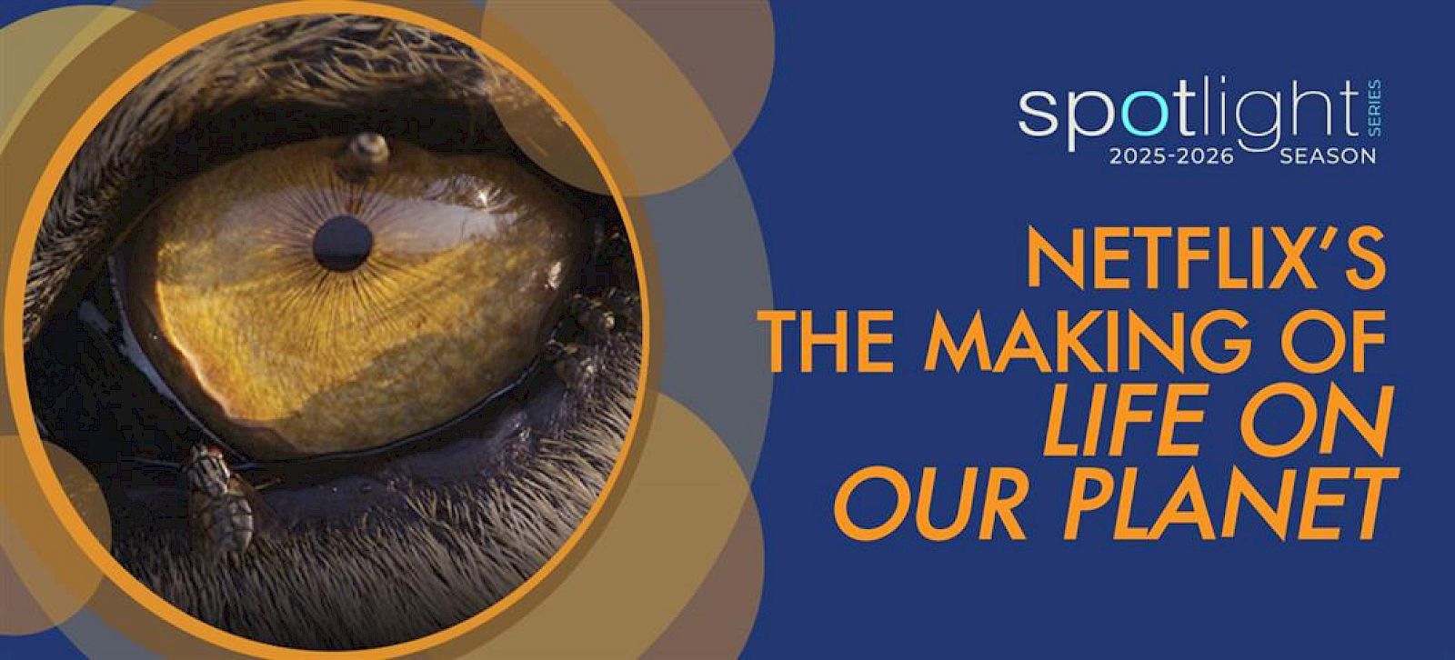 SPOTLIGHT: Netflix's The Making of Life on Our Planet